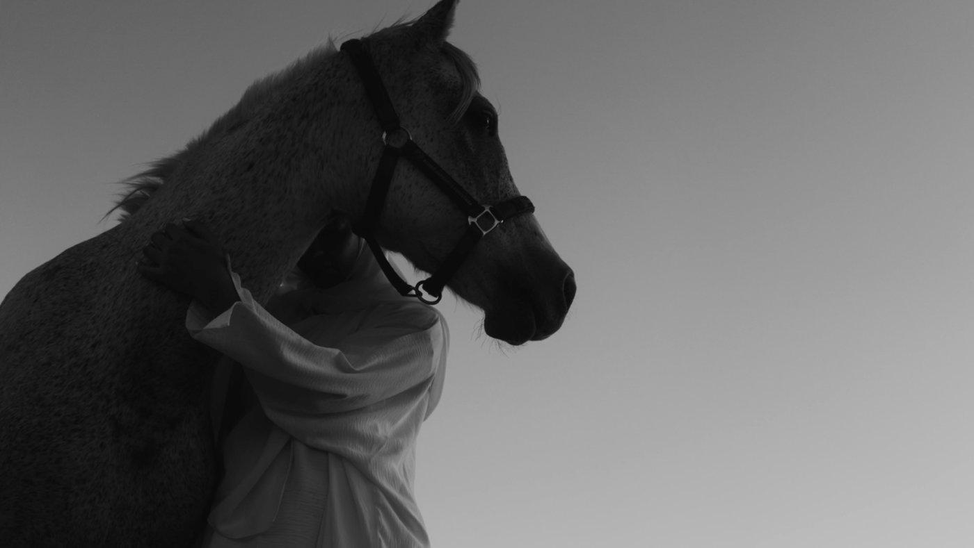 The forgotten ceremony - Sarah Brahim 