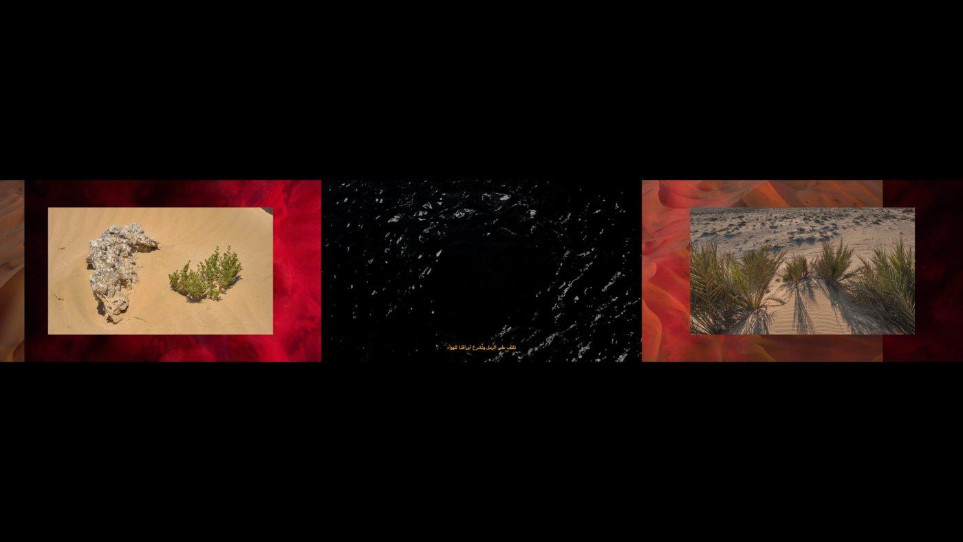 The Desert Keepers - Ayman Zedani 