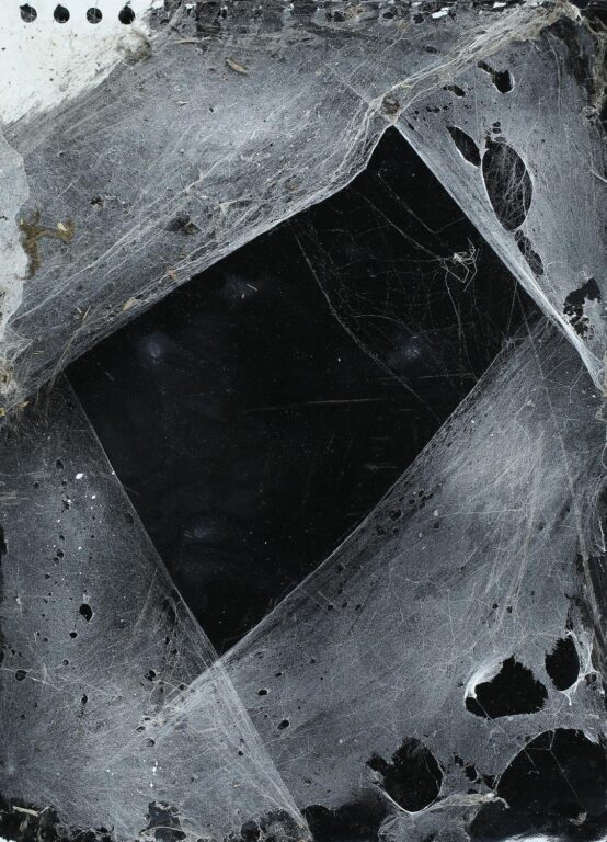 Ohne Titel (aus der Serie Spinnwebenbilder) - Christian Eisenberger 