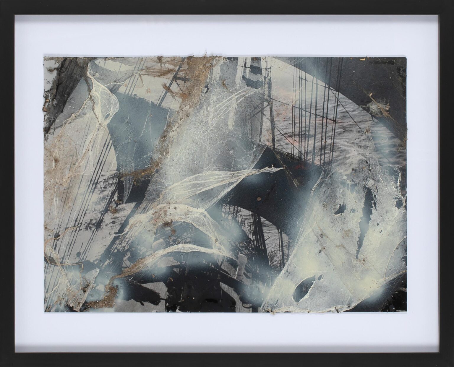 Untitled (Spinnenbild) - Christian Eisenberger 