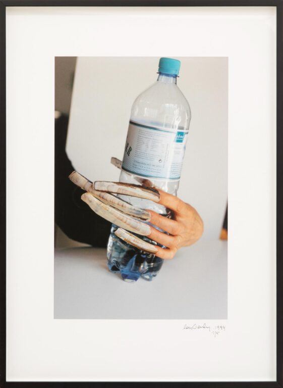 Das Meer - Lois Weinberger 