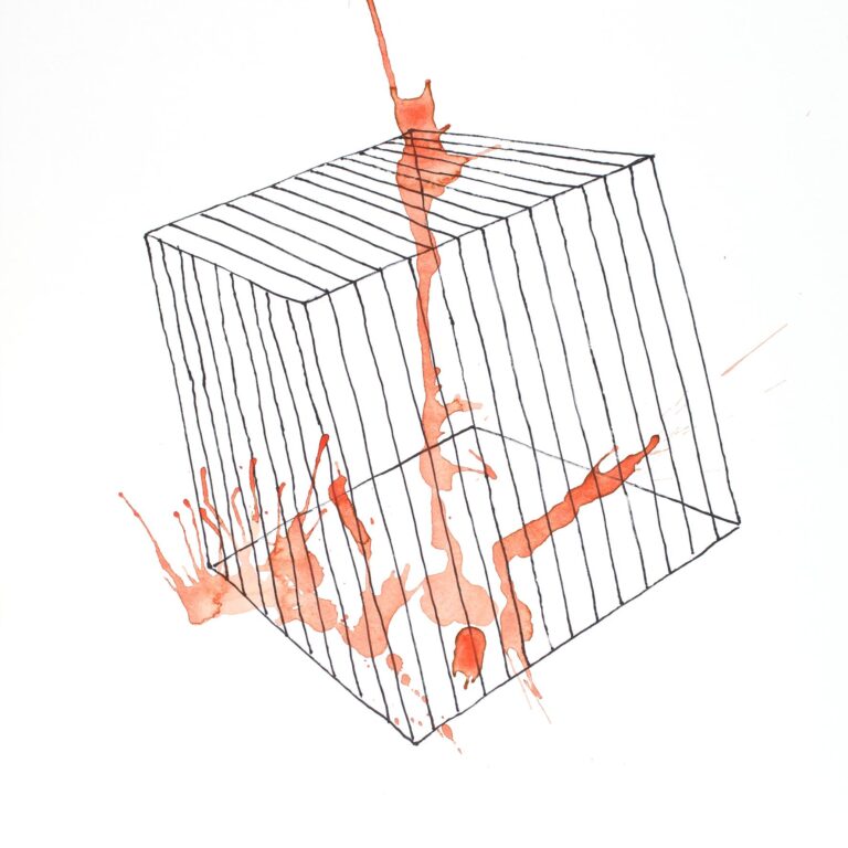 Wild Cube - Lois Weinberger 