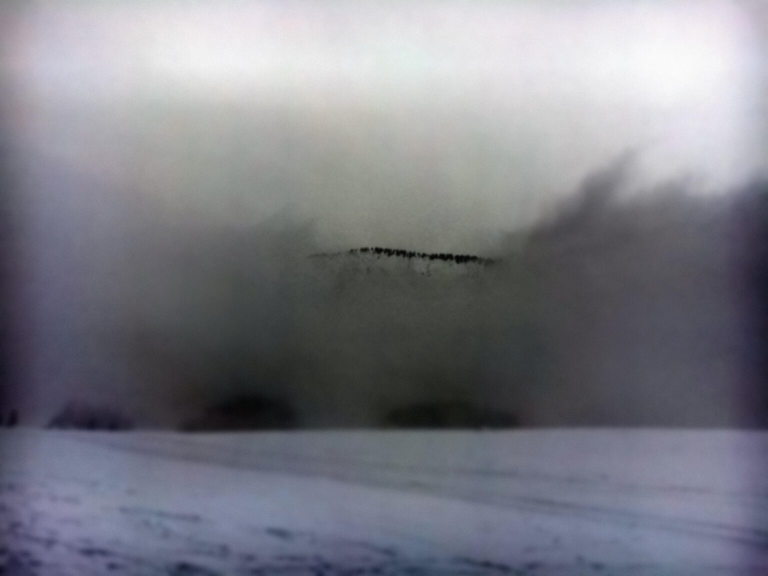 Ohne Titel (262b) - Eva Schlegel 