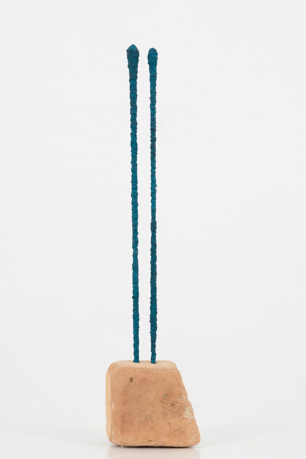 Two Asparagus - Đanino Božić 