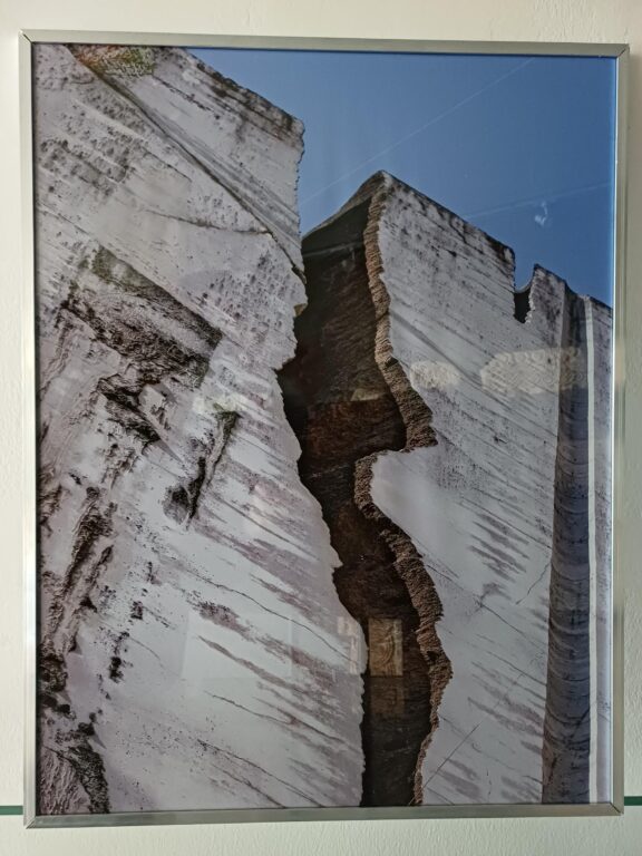 Stratigraphies I - Dora Ramljak 