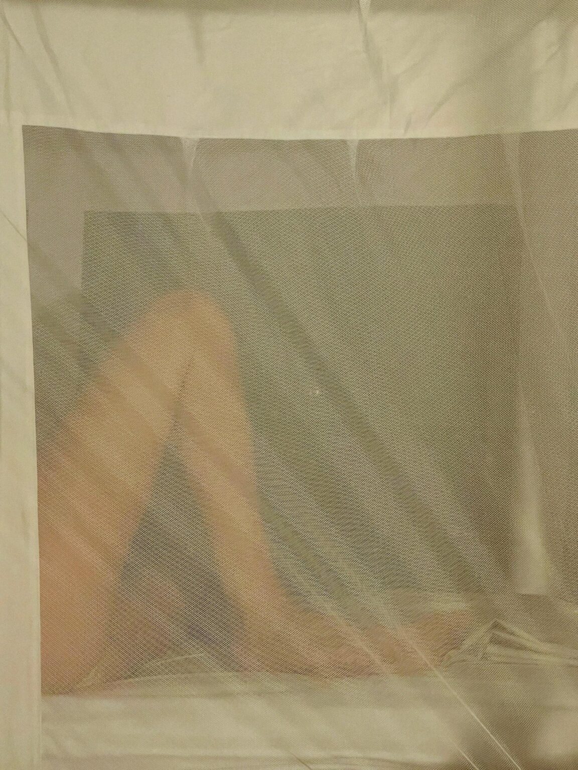 Architecture Files 2 - Rafaela Pr&ouml;ll 