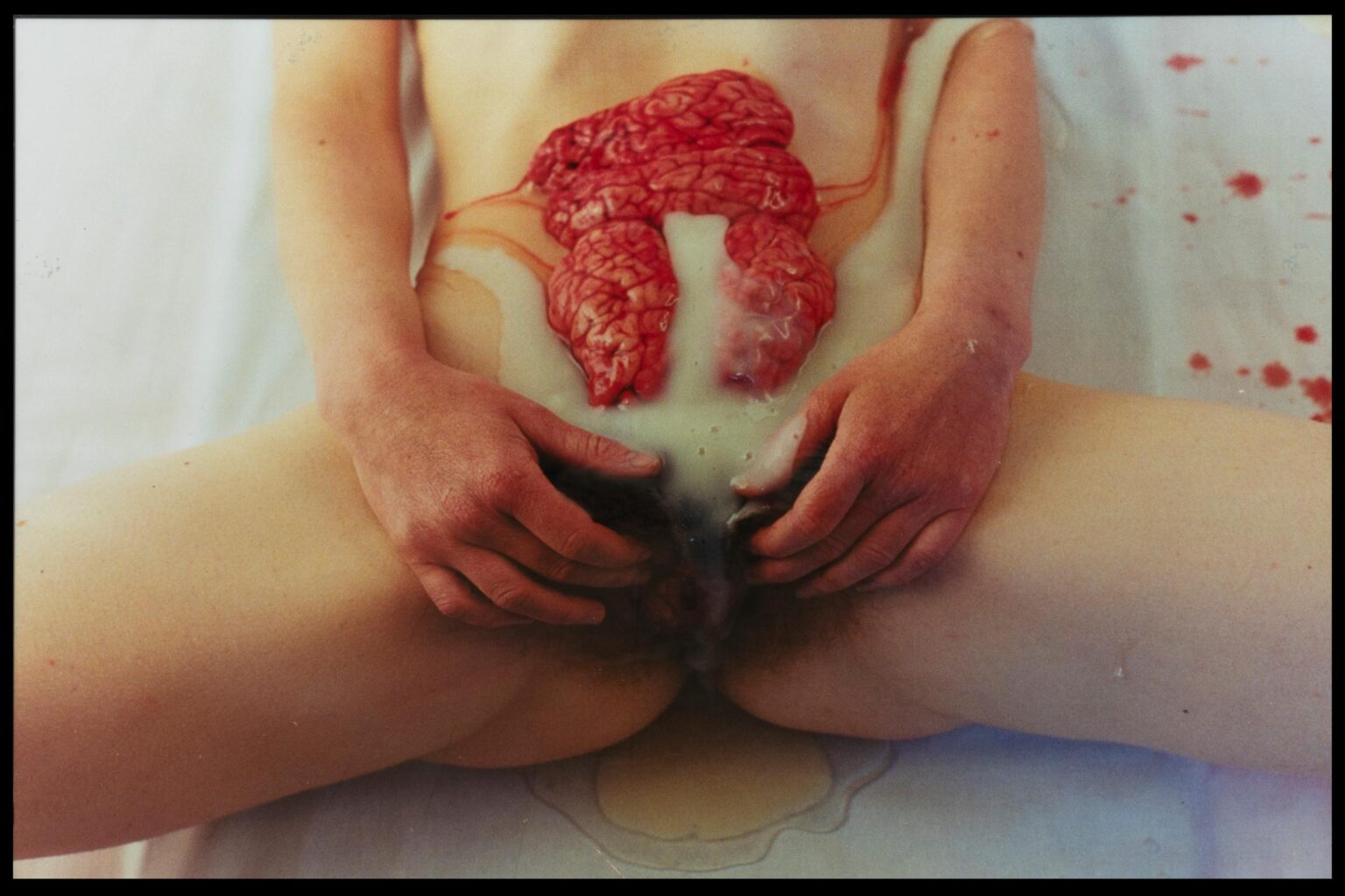 Ohne Titel (107. Aktion) - Hermann Nitsch 