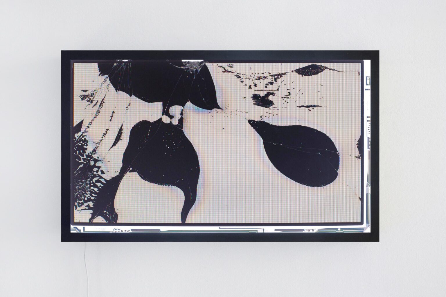 Liquid Crystal (b) - Bernd Oppl 