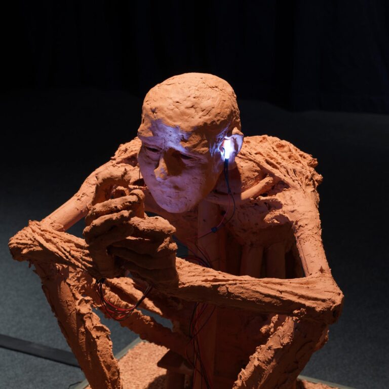 Annäherungen an „…bin im Netz i5.0/F1″ - Rosmarie Lukasser 