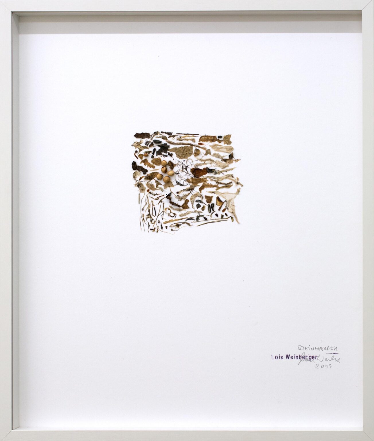 Steinmarder - Lois Weinberger 