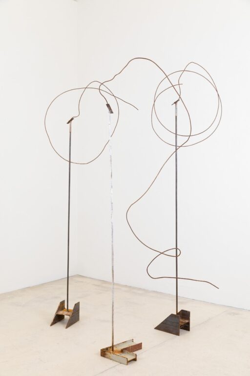 Wire Sculpture - Rudolf Polanszky 