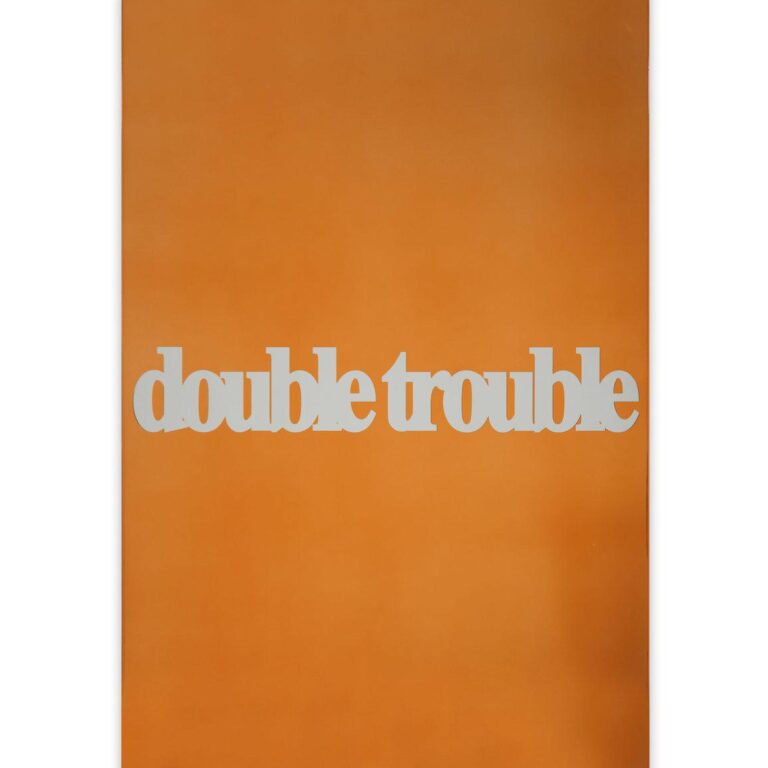 Double - Monica Bonvicini 