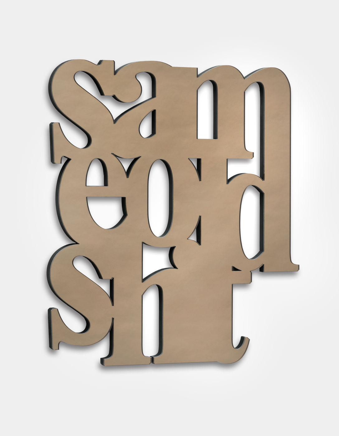 Same Old Shit - Monica Bonvicini 