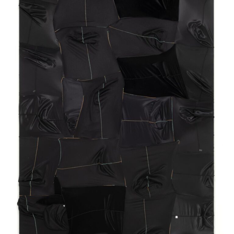 CAMOUFLAGE #010 (Untitled) - Anthony Olubunmi Akinbola 