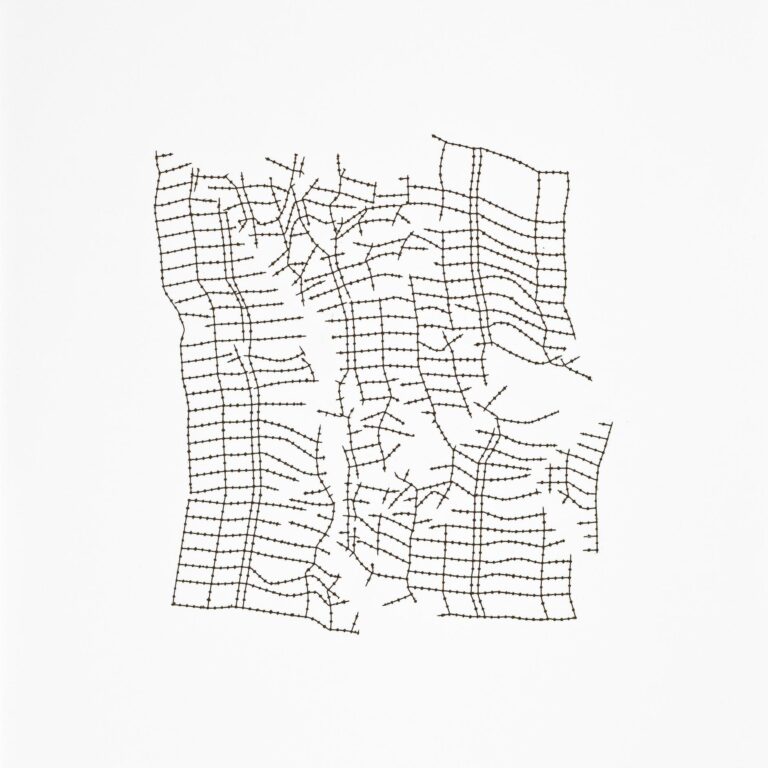 Imponderables (29) - Johanna Calle 