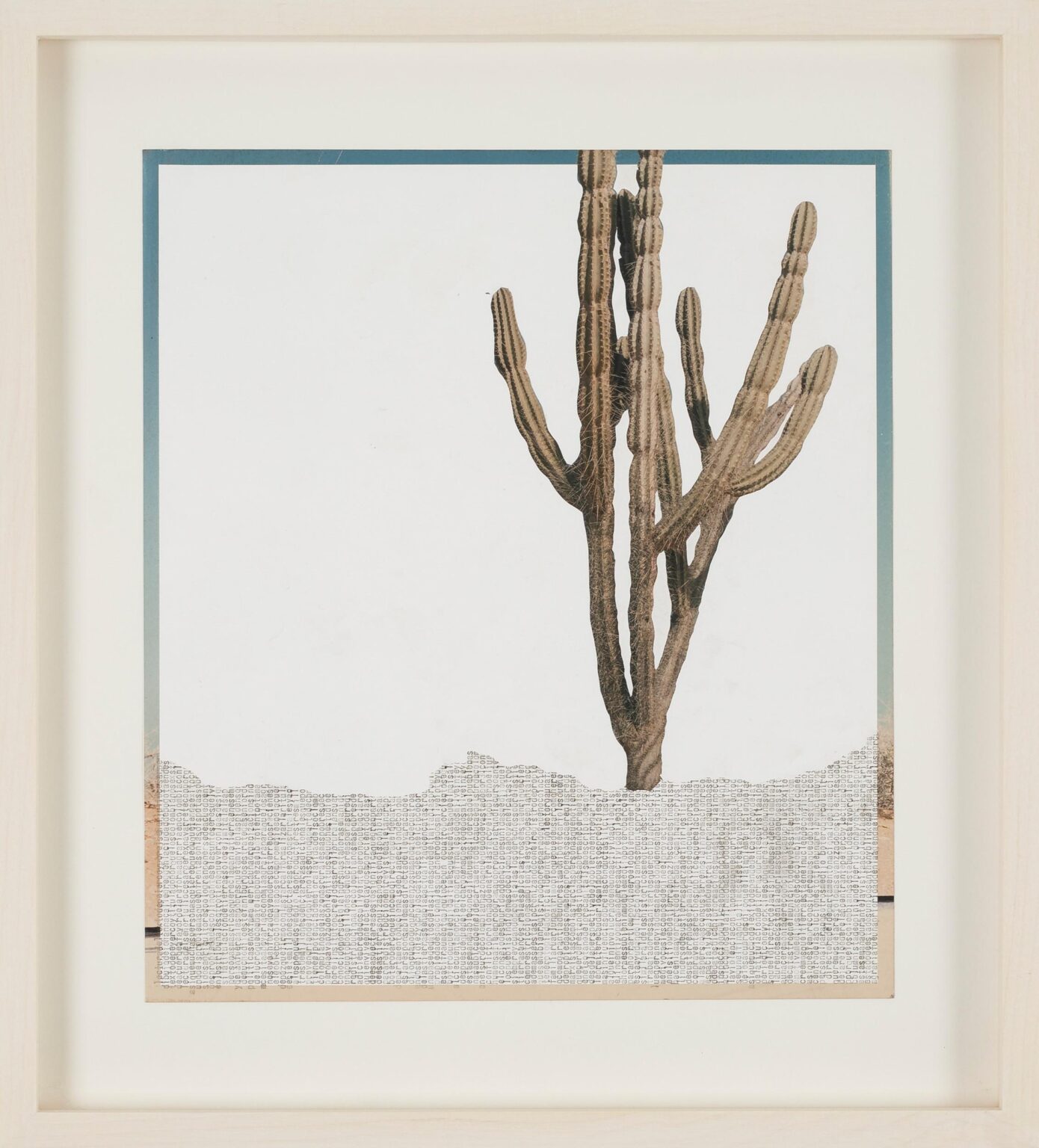 Guajira - Johanna Calle 