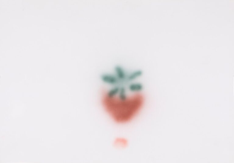 Artificial Still Life - Inci Furni 