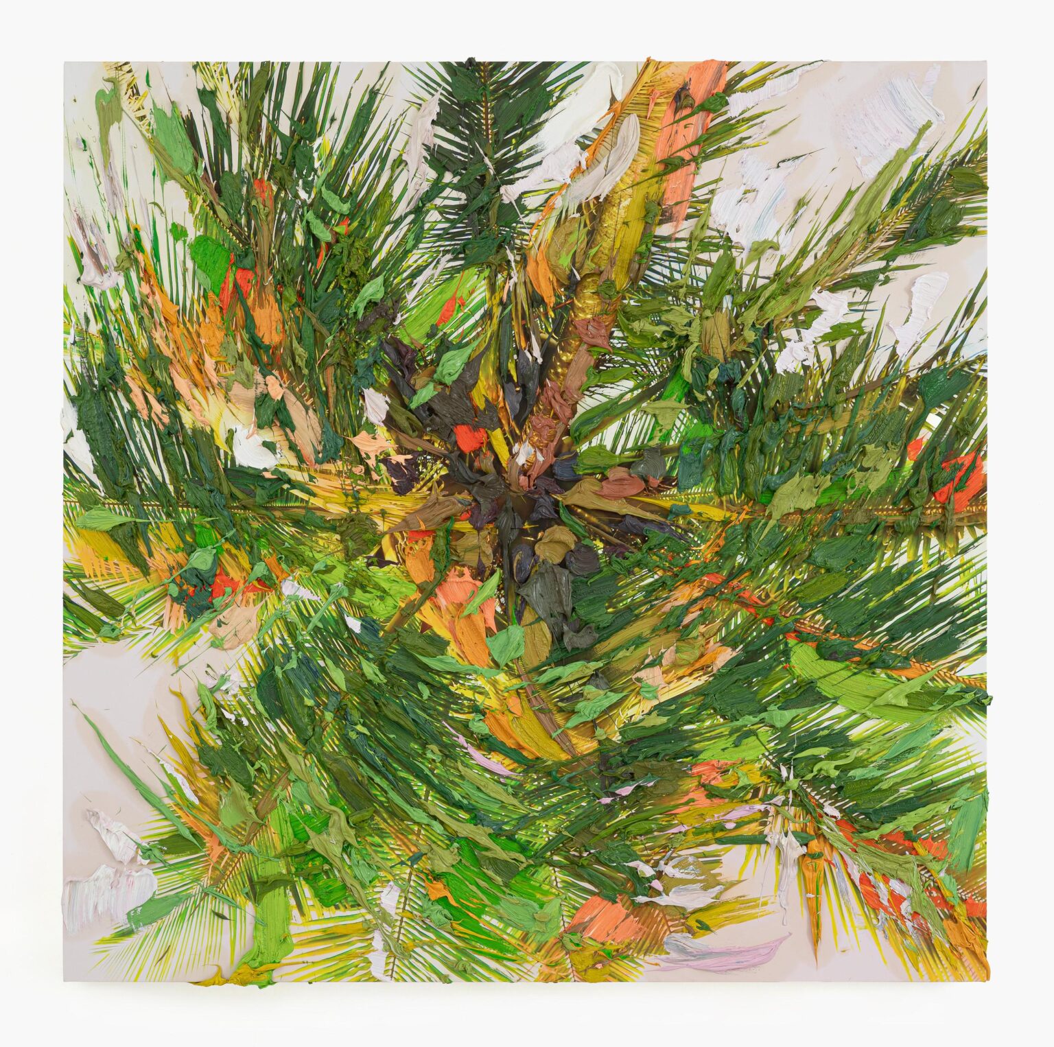 Vairagya - Erik Schmidt 