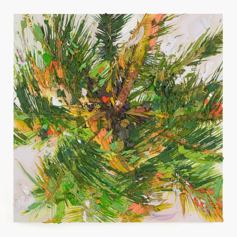 Vairagya - Erik Schmidt 