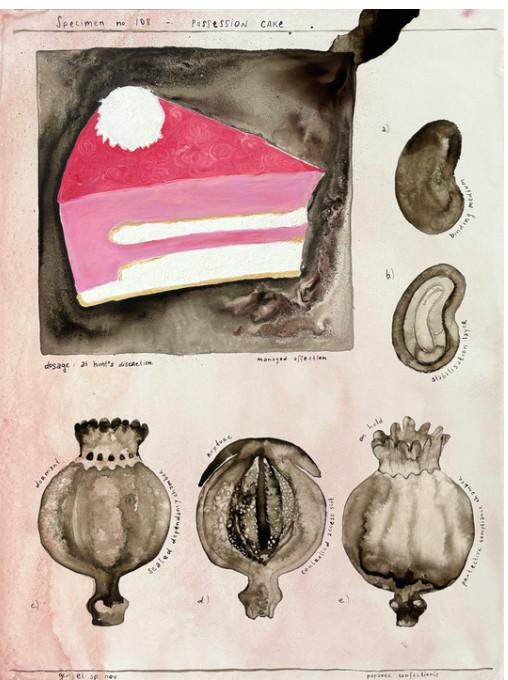 Specimen no.18 Possession Cake - Bianca Kennedy 