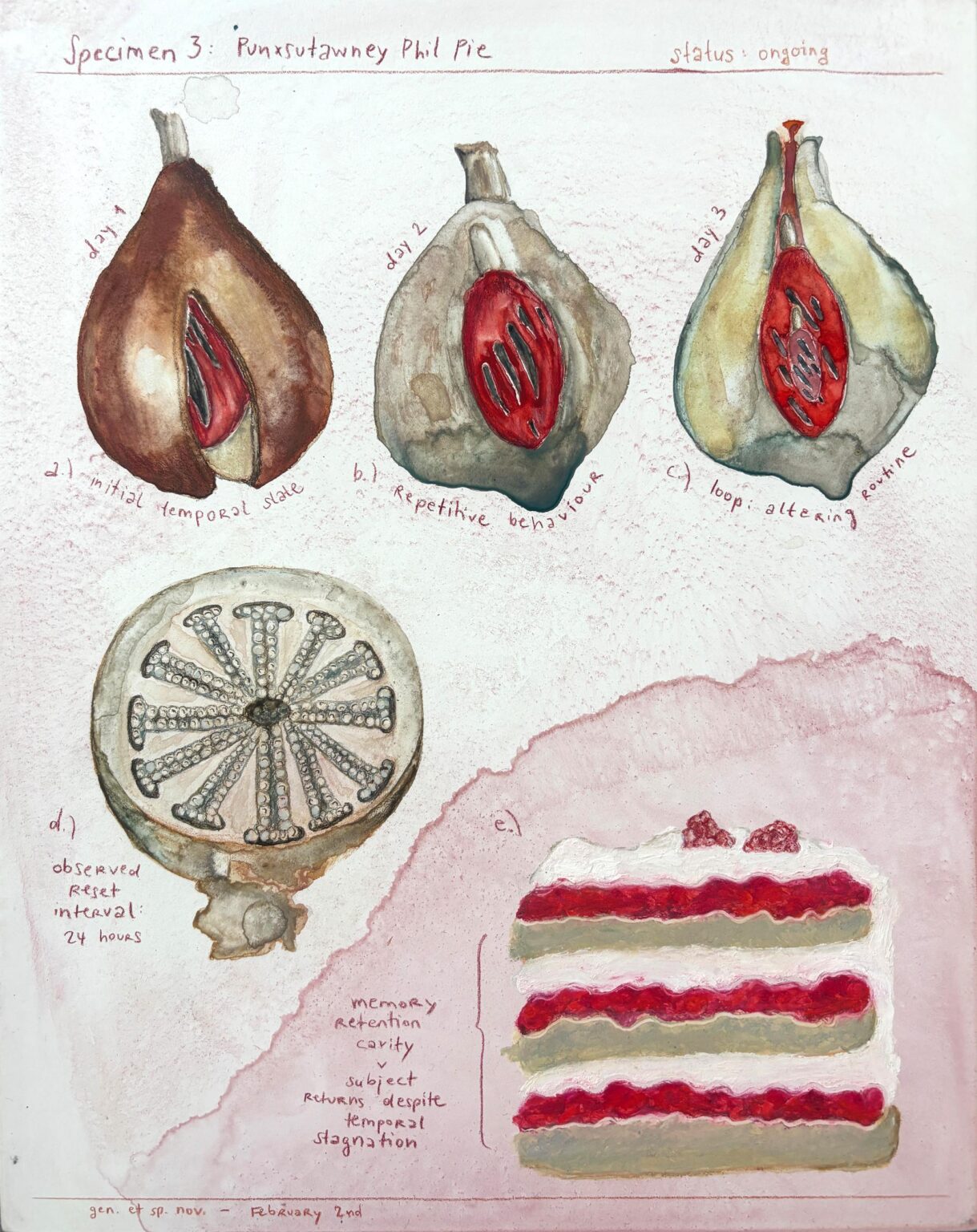 Specimen No. 3: Punxsutawney Phil Cake - Bianca Kennedy 