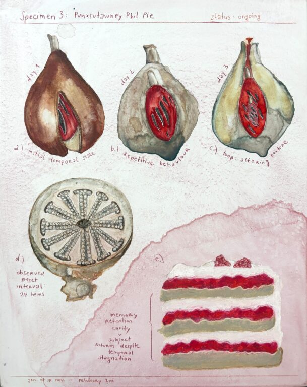 Specimen No. 3: Punxsutawney Phil Cake - Bianca Kennedy 