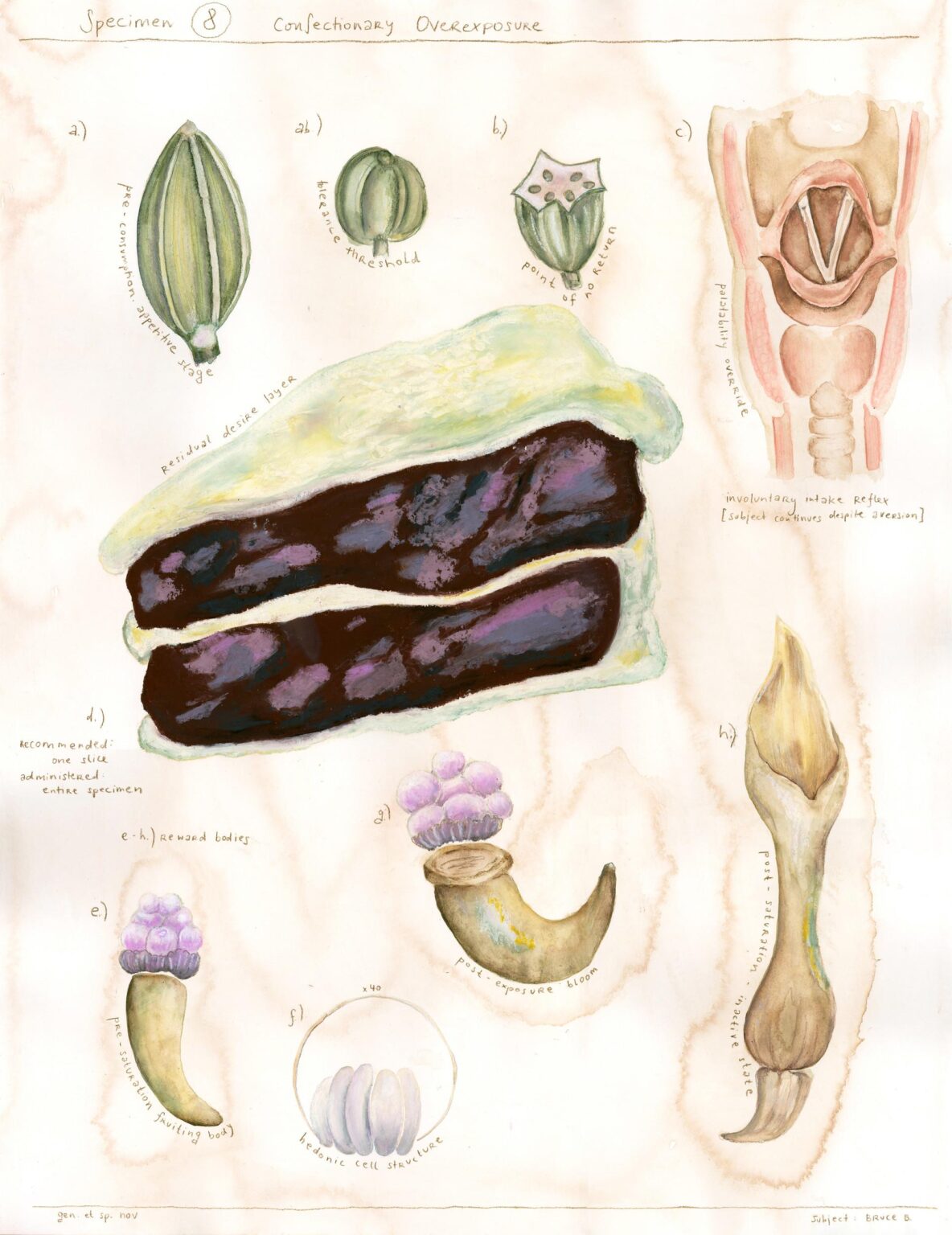 Specimen no.9 Confectionary Overexposure - Bianca Kennedy 