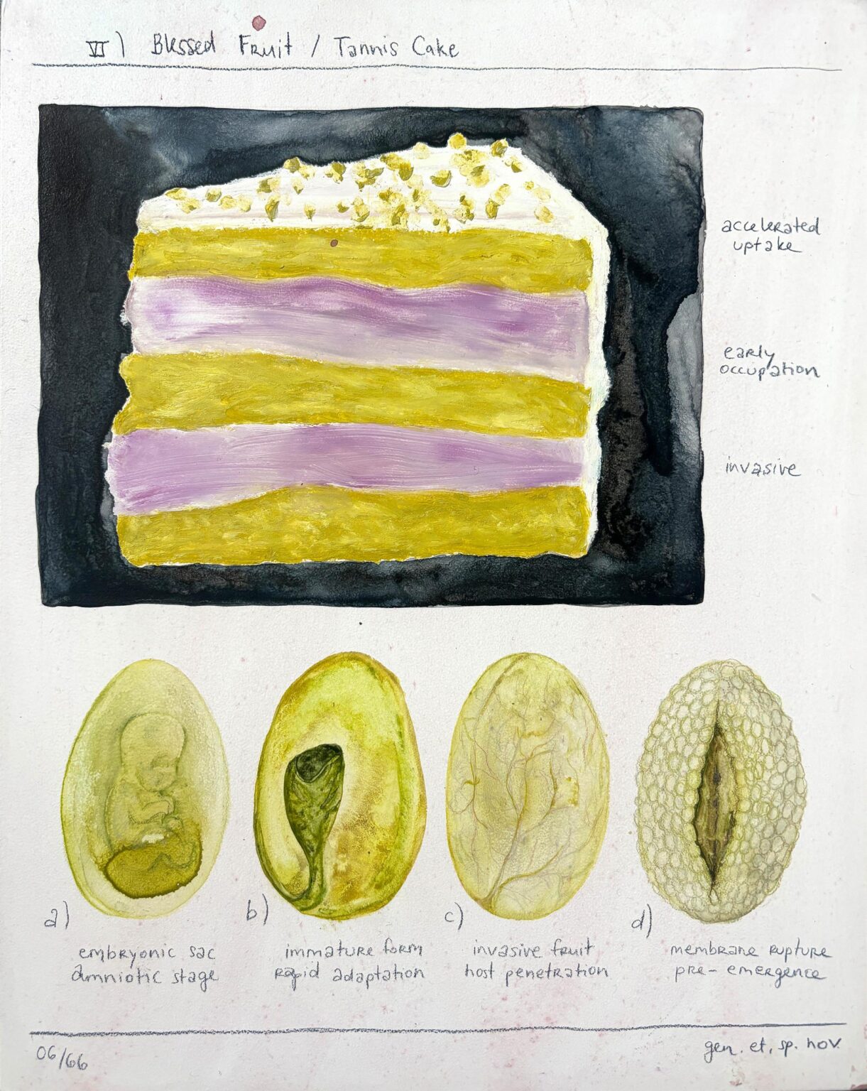 Blessed Fruit / Tannis Cake - Bianca Kennedy 