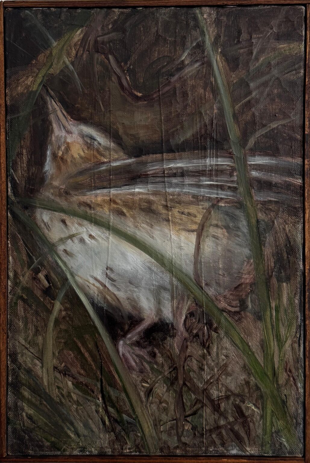 Anthus - Polina Sokolova 