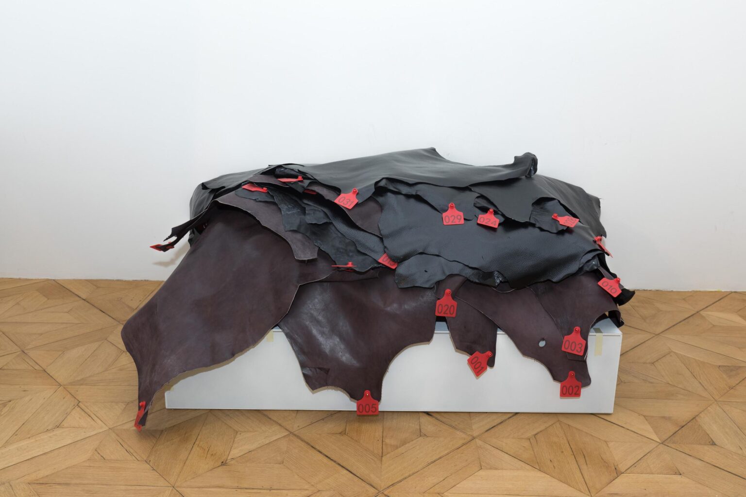 Raw Potential - Anthony Olubunmi Akinbola 