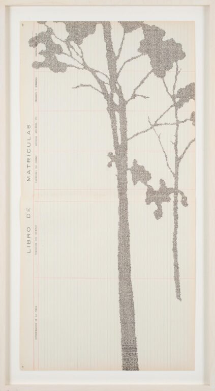 Erial 1 - Johanna Calle 