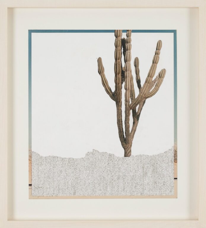 Guajira - Johanna Calle 