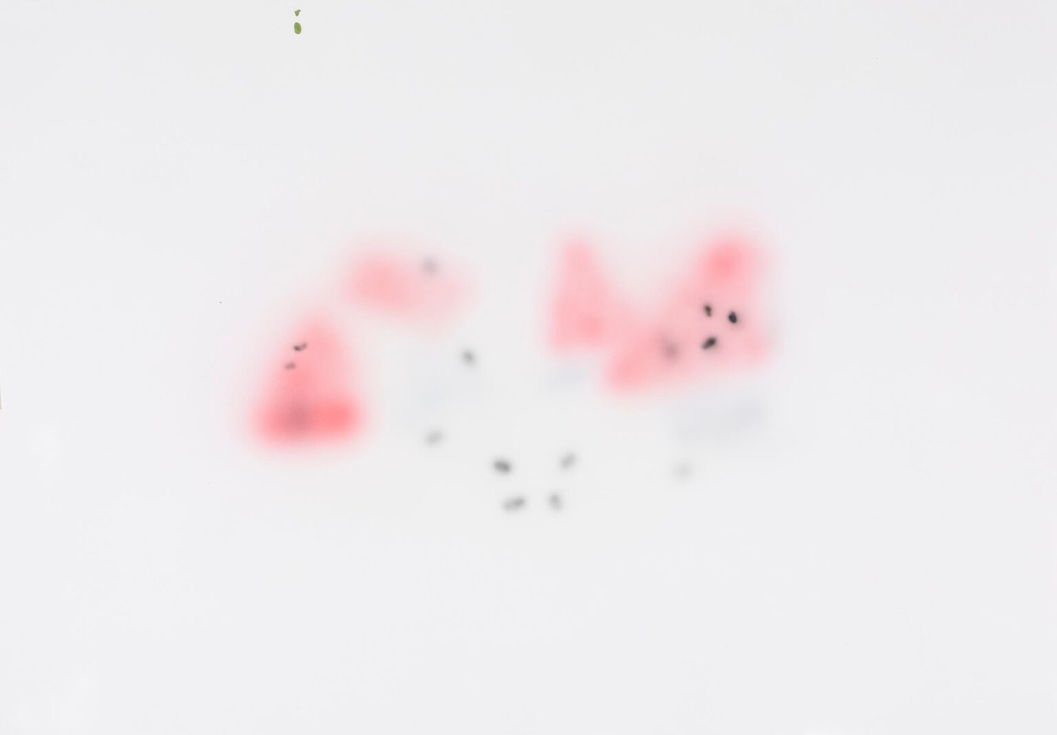 Artificial Still Life - Inci Furni 