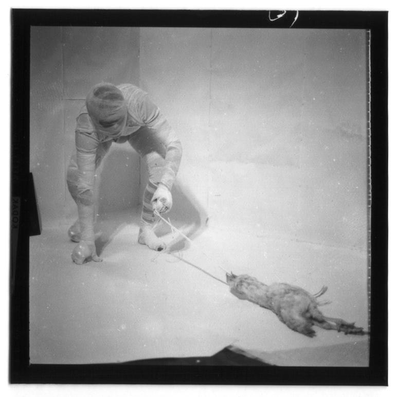 6. Aktion - Rudolf Schwarzkogler 