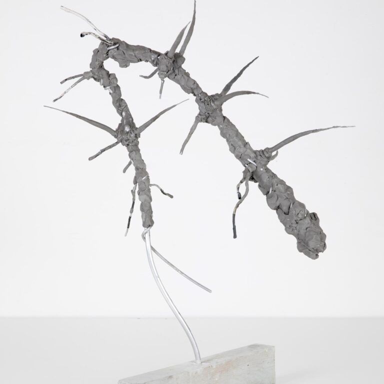 Hallucigenia Modell - Martin Walde 