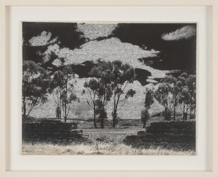 Paisaje sabanero - Johanna Calle 