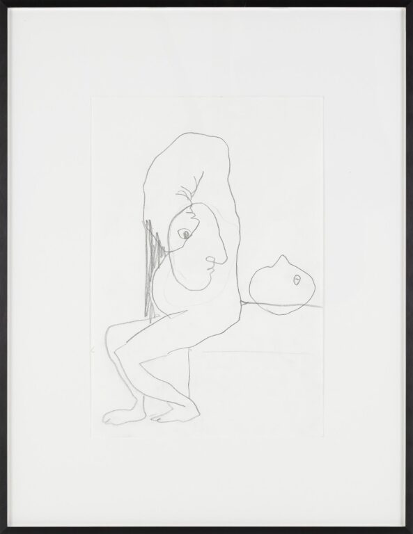 Untitled - Shanee Roe 