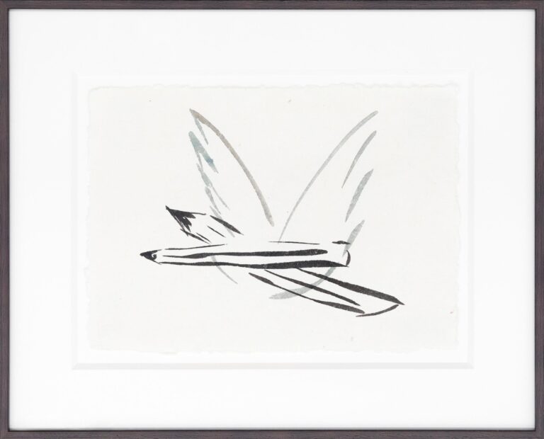 Untitled (ZG D60) - Eva Schlegel 