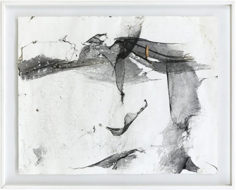 Ohne Titel (aus der Serie Spinnwebenbilder) - Christian Eisenberger 