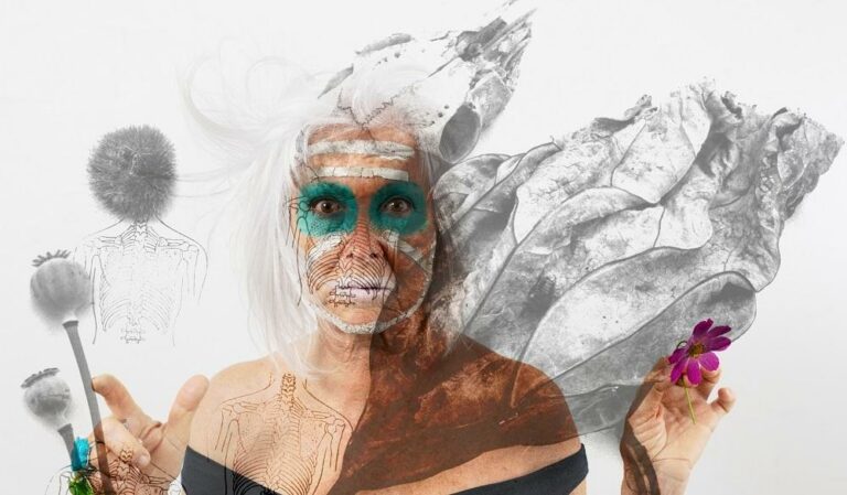 Transition II - Margot Pilz 