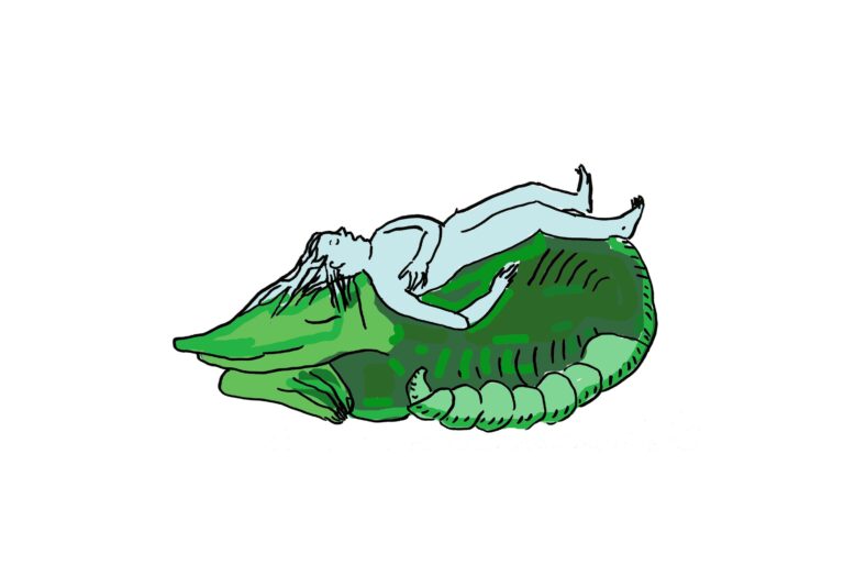 Drachenschlaf - Stefanie Wuschitz 