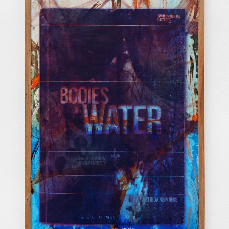 bodies of water #4 - Veronika Dirnhofer 