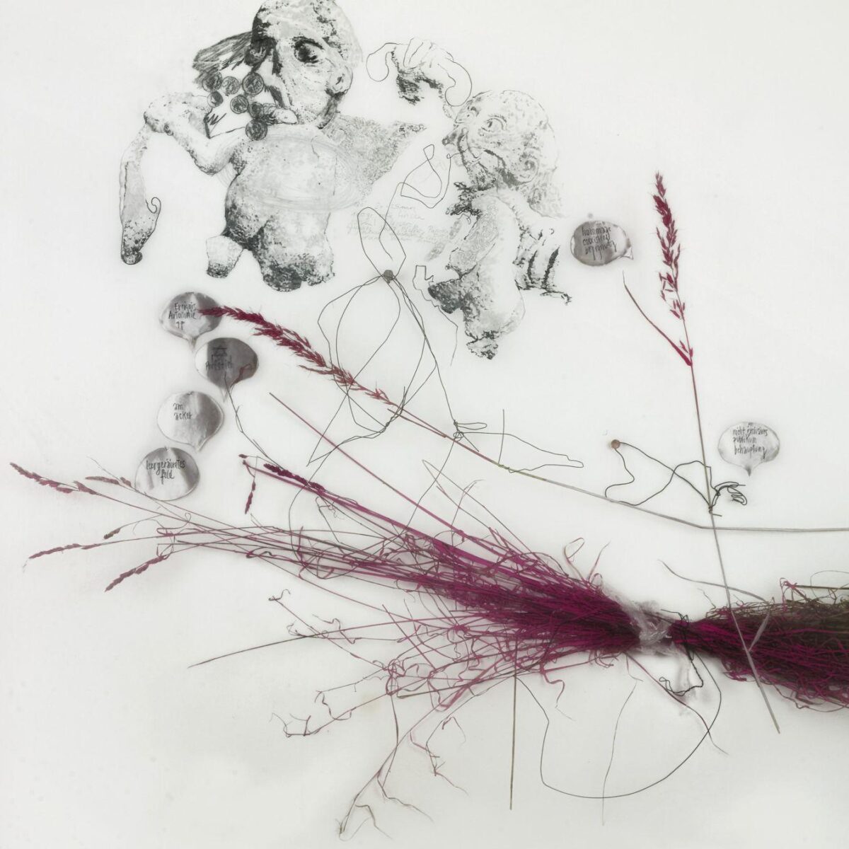 AM ACKER - Iris Andraschek 