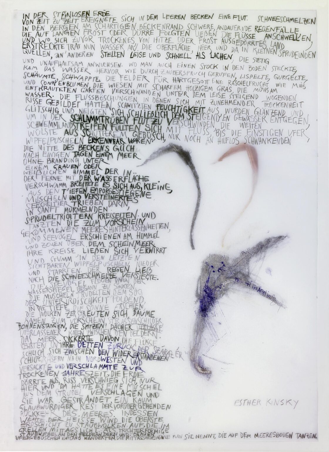 Ader II (2-teilig, Teil 2) - Iris Andraschek 
