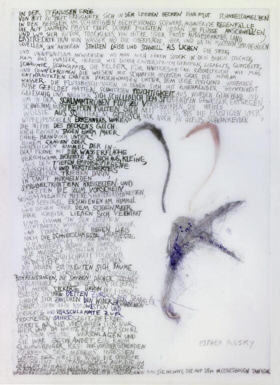 Ader II (2-teilig, Teil 2) - Iris Andraschek 