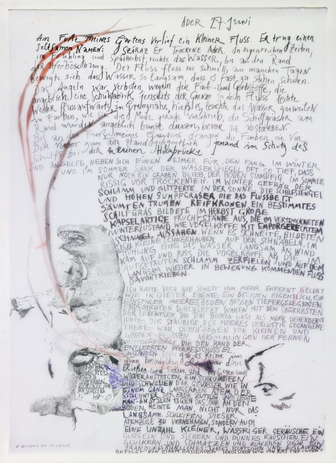 Ader I (2-teilig, Teil 1) - Iris Andraschek 