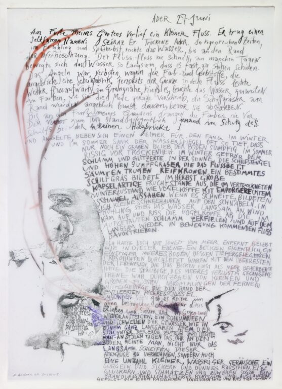 Ader I (2-teilig, Teil 1) - Iris Andraschek 