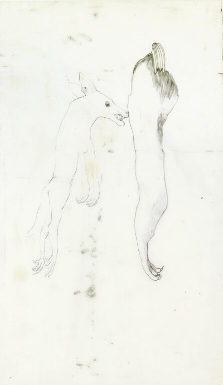 Tier - Iris Andraschek 
