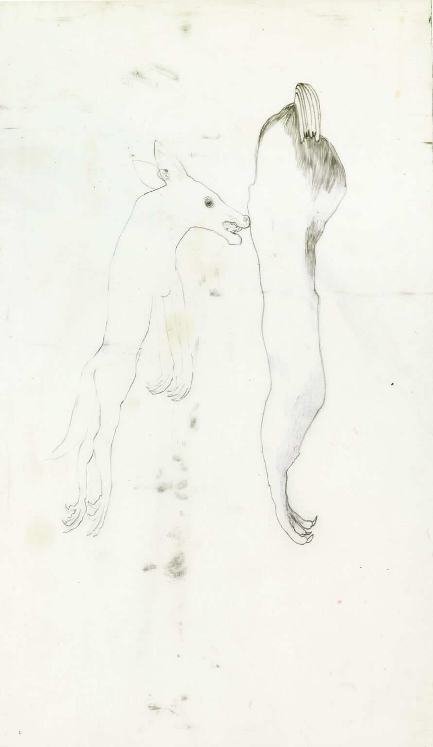 Tier - Iris Andraschek 