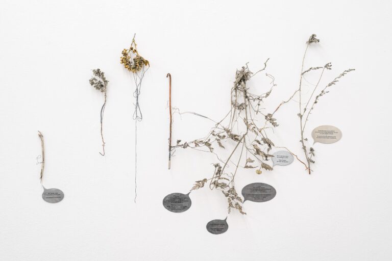 Alles, was sich mischt, findet immer an Grenzen statt. - Iris Andraschek 